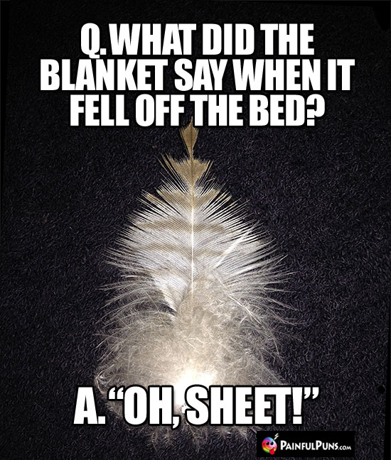 Q. What did the blanket say when it fell off the bed? A. "Oh, Sheet!"