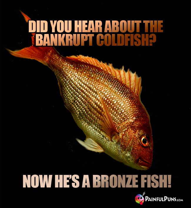 Did you hear about the bankrut goldfish? Now he's a bronze fish!