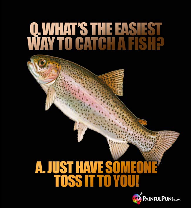Q. what's the easiest way to catch a fish? A. Just have someone toss it to you!