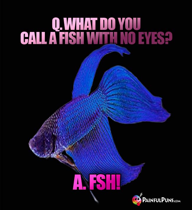 Q. What do you call a fish with no eyes? A. FSH!