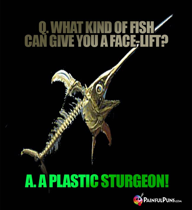 Q. What kind of fish can give you a face-lift? A. A plastic sturgeon!