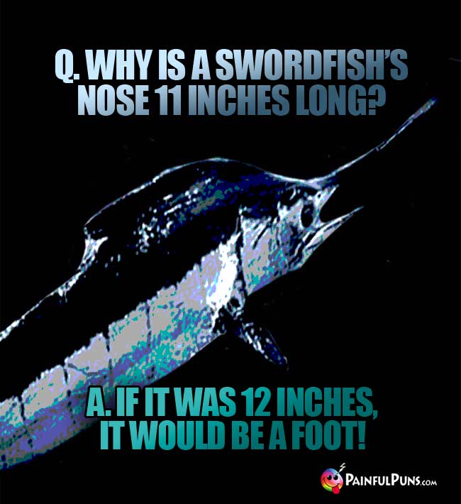 q. Why is a swordfish's nose 11 inches long? A. If it was 12 inches, it would be a foot!