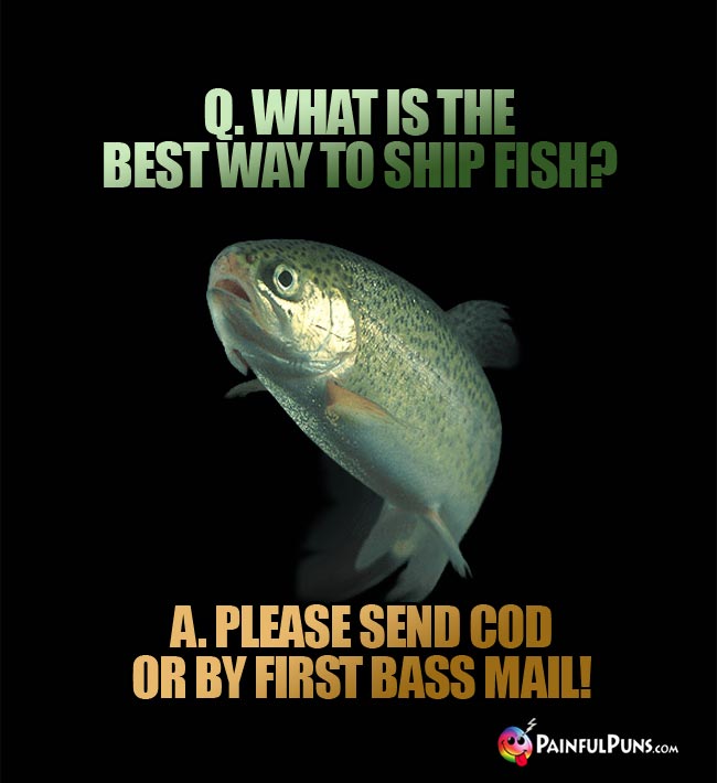 Q. What is the best way to ship fish? A. Please send COD or by First Bass Mail!