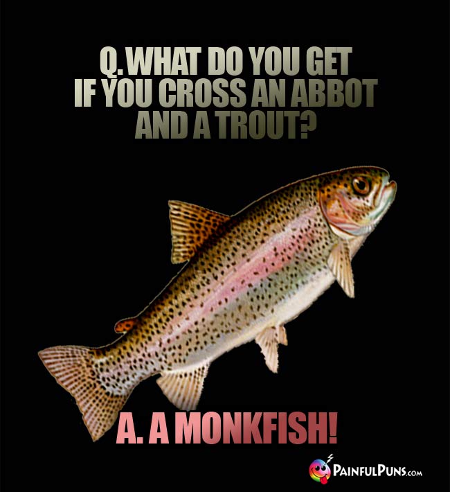Q. What do you get if you cross an abbot and a trout? a. A Monkfish!