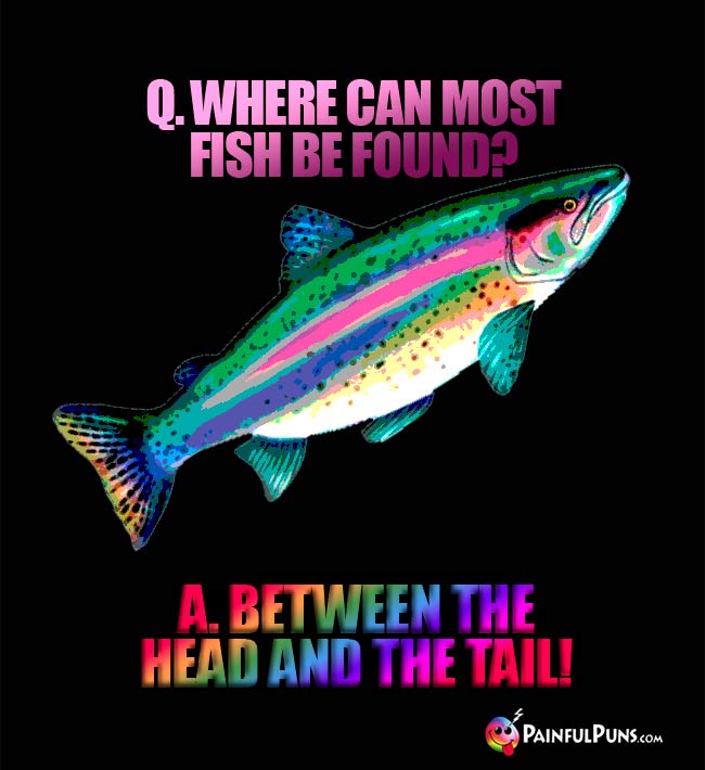 Q. Where can most fish be found? A. between the head and the tail!