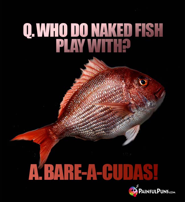 Q. Who do naked fish play with? A. Bare-a-cudas!