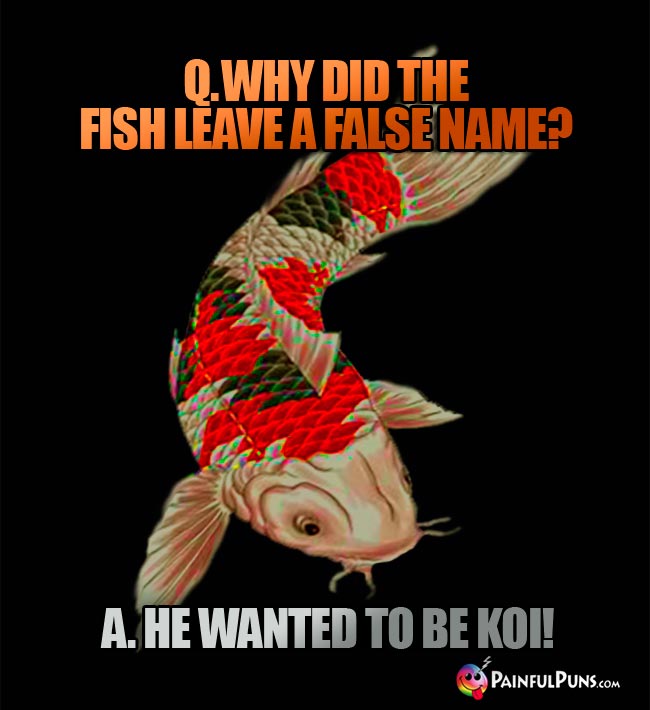 Q. Why did the fish leave a false name? a. He wanted to be koi!