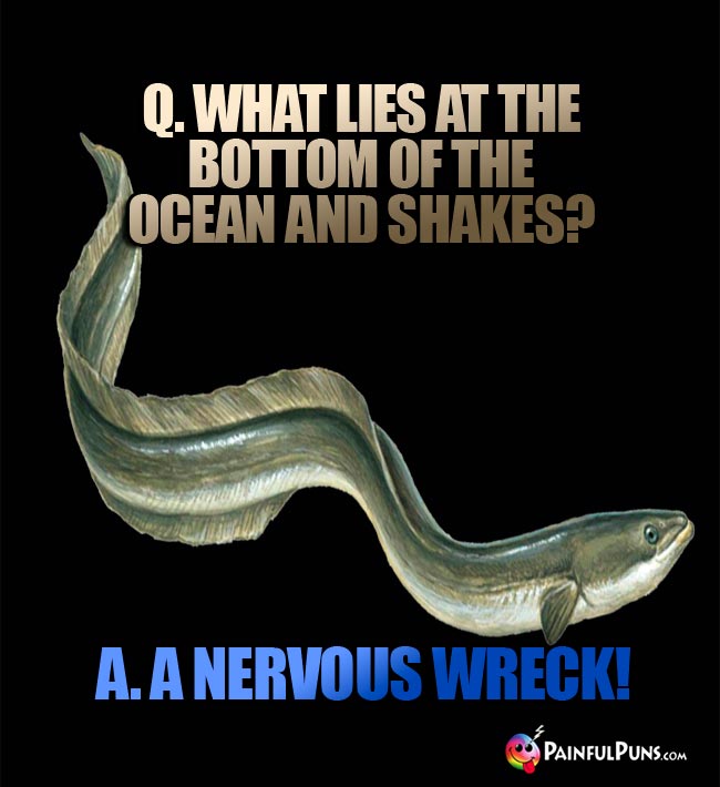 QQ. What lies at the bottom of the ocean and shakes? a. A nervous wreck!