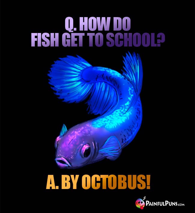 Q. How do fish get to school? A. By octobus!