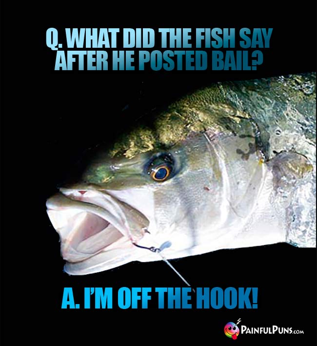 Q. What did the fish say after he posted bail? A. I'm off the hook!
