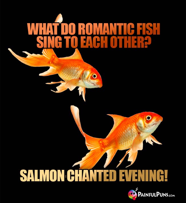 Q. What do romantic fish sing to each other? A. Salmon Chanted Evening!
