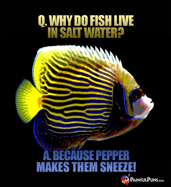Q. Why do fish live in salt water? A. Because pepper makes them sneeze!