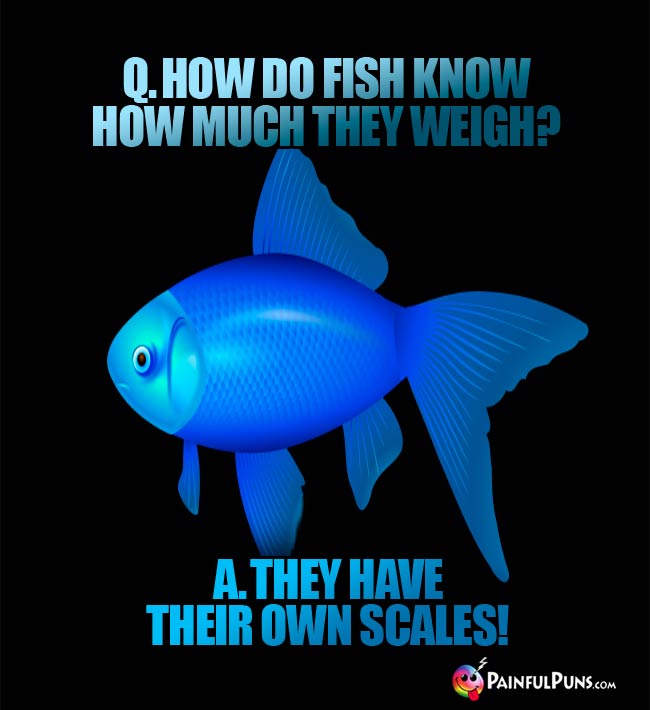 Q. How do fish know how much they weigh? A. they have their own scales!