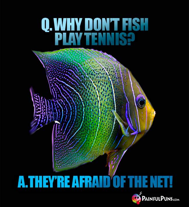 q Why don't fish play tennis? A. they're afraid of the net!