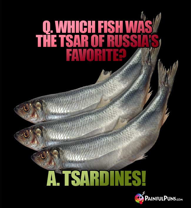 Q. Which fish was the  Tsar of Russia's favorite? a. Tsardines!