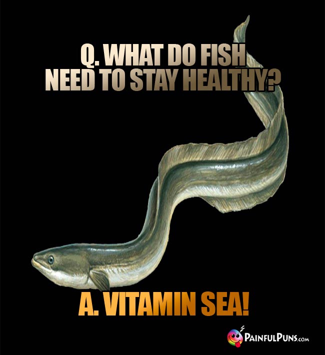Q. what do fish need to stay healthy? A. Vitamin Sea!