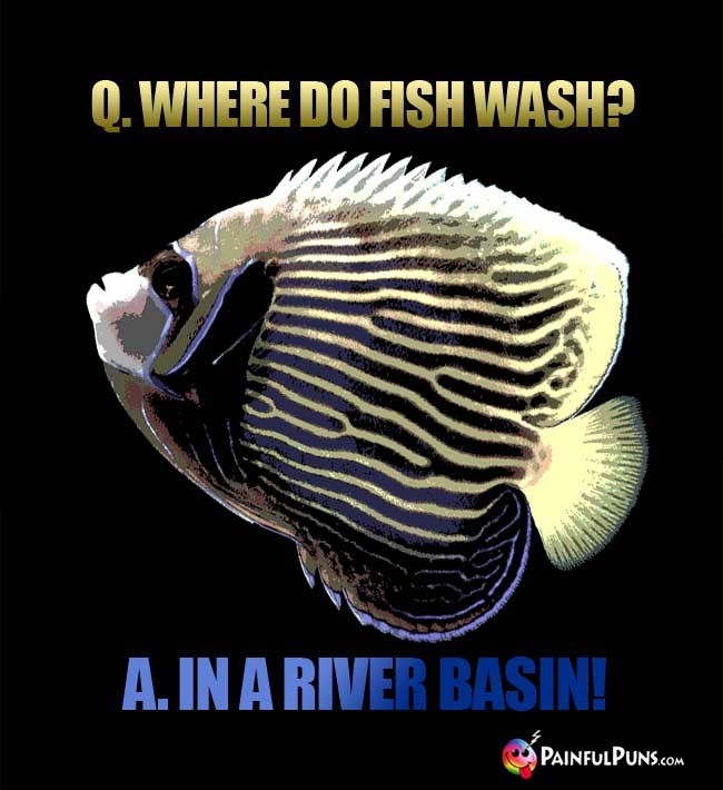 Q. Where do fish wash? A. In a river basin!