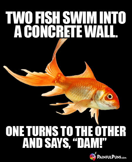 Two fish swim into a concrete wall. One turns to the other and says, "Dam!"