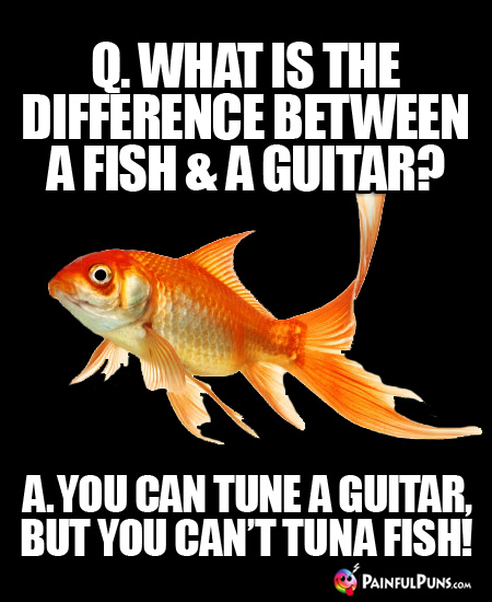 Q. What is the difference between a fish & a guitar? A. You can tune a guitar, but you can't tuna fish!