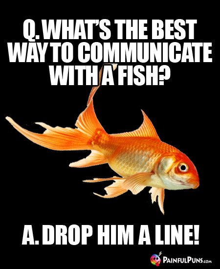 Q. What's the best way to communicate with a fish? A. Drop him a line!