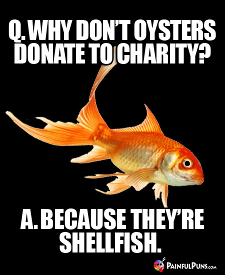 Q. Why don't oysters donate to charity? A. Because they're shellfish.