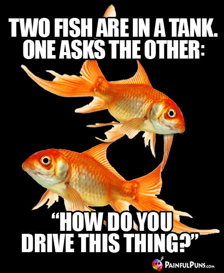 Two Fish Are in a Tank. One Asks the Other: "How Do You Drive This Thing?"