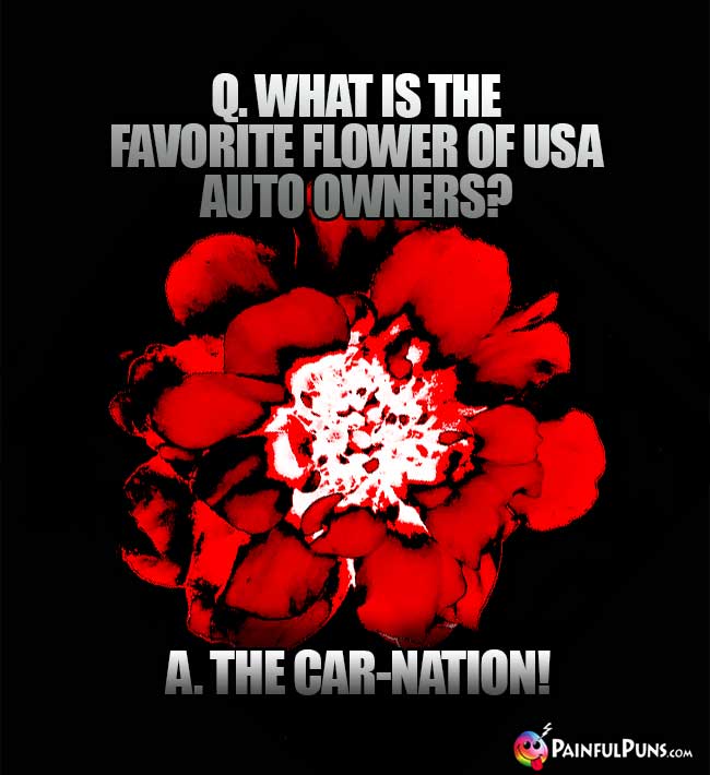 Q. What is the favorite flower of USA auto owners? A. The Car-Nation!