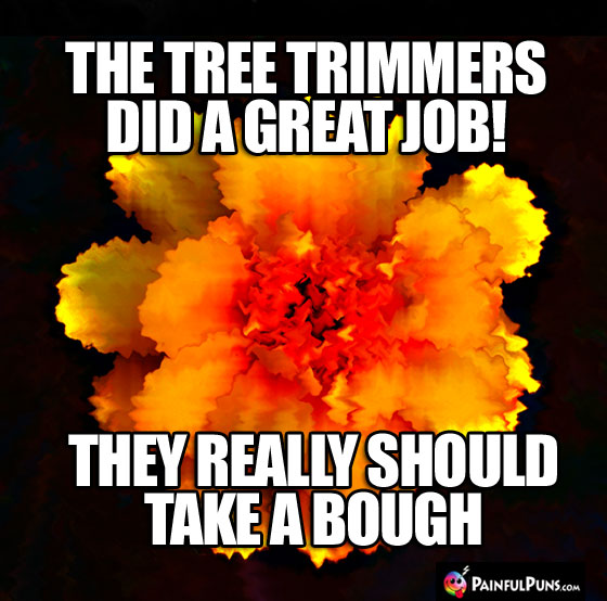 The tree trimmers did a great job! They really should take a bough