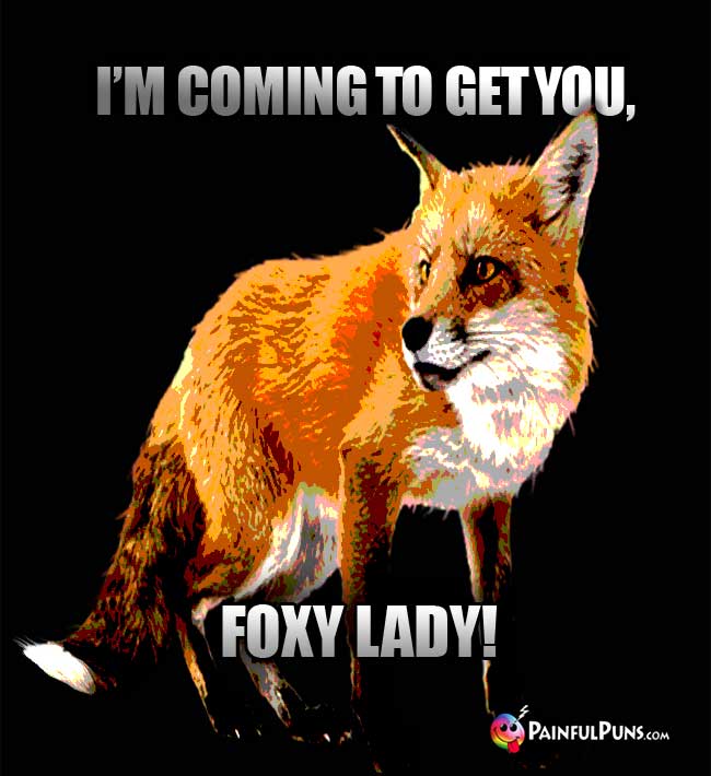 Fox Says: I'm Coming To Get You, Foxy Lady!