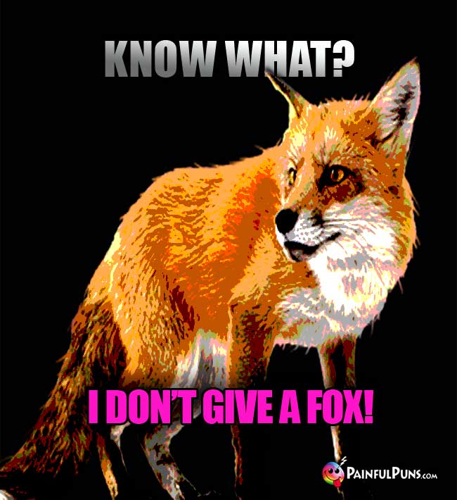 Snide Fox Says: Know What? I Don't Give A Fox!