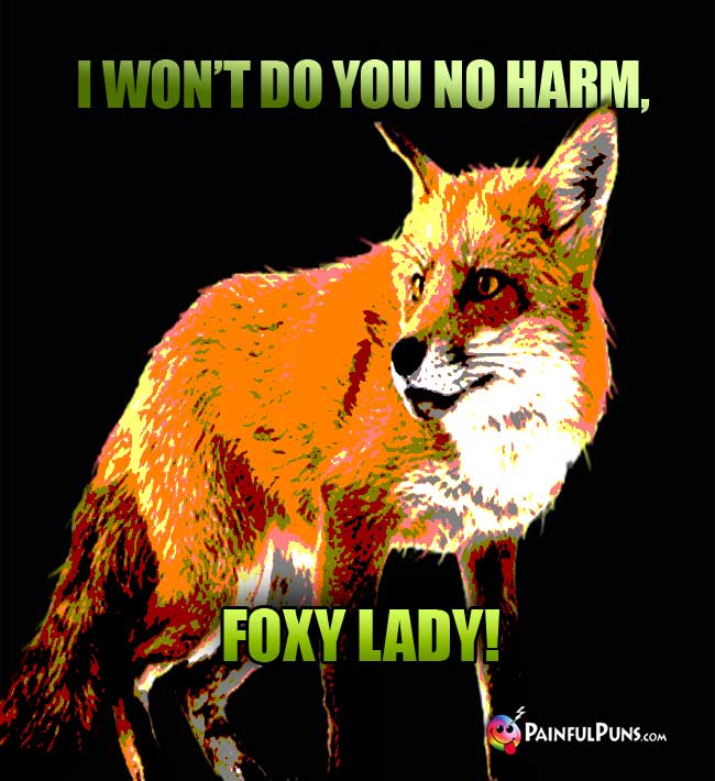 Fox Says: I won't Do You No Harm, Foxy Lady!
