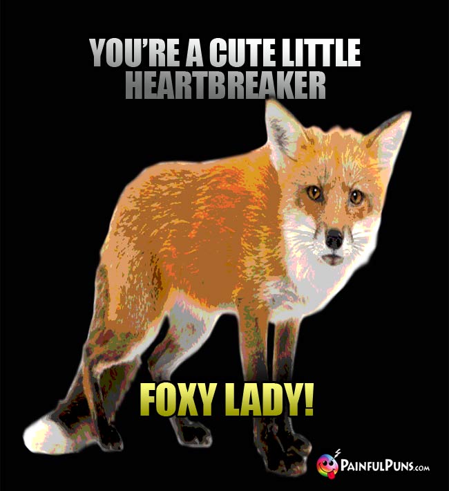 Fox Says: You're A Cute Little Heartbreaker, Foxy Lady!