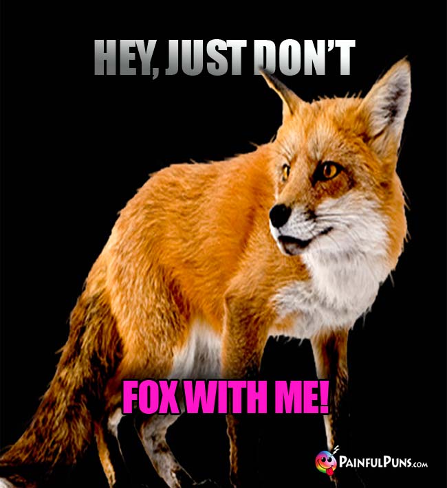 Fox Says: Hey, Just Don't Fox With Me!