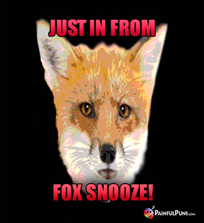Just In From Fox Snooze!