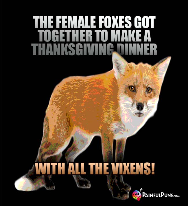 The female foxes got together to make a Thanksgiving dinner with all the vixens!