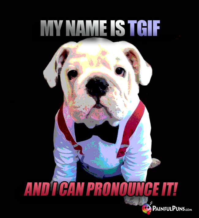 Bulldog wearing a bow tie says: My name is TGIF, and I can pronounce it!