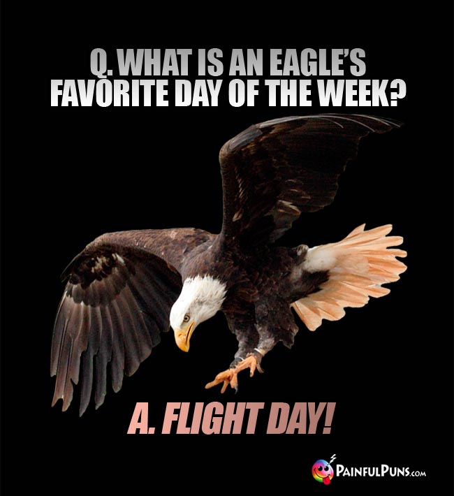 Q. What is an eagle's favorite day of the week? A. Flight Day!