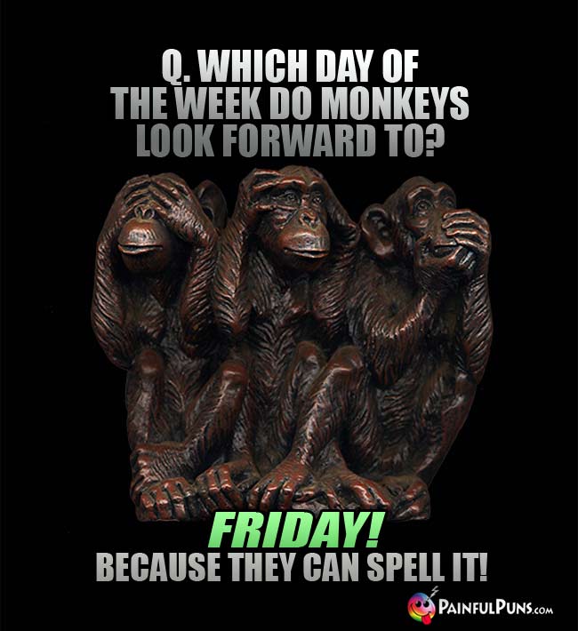 Q. Which day of the week do monkeys look forward to? A. Friday! Because they can spell it!
