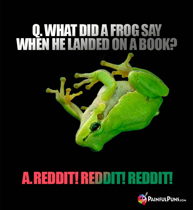 Q. What did a frog say when he landed on a book? A. Reddit! Reddit! Reddit!