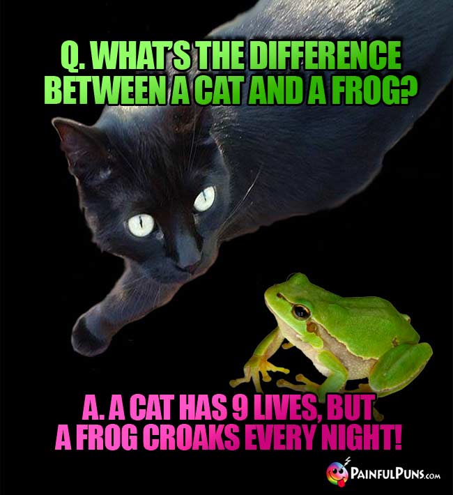 Q. What's the difference between a cat and a frog? A. A cat has 9 lives, but a frog croaks every night!