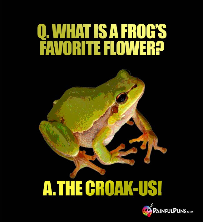 Q. What is a frog's favorite flower? A. The Croak-us!