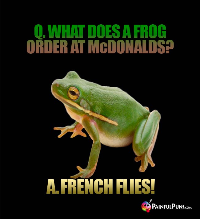Q. What does a frog order at McDonalds? A. French Flies!