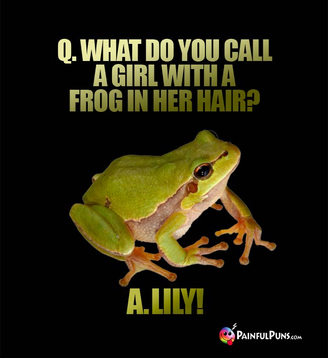 Q. What do you call a girl with a frog in her hair? A. Lily!