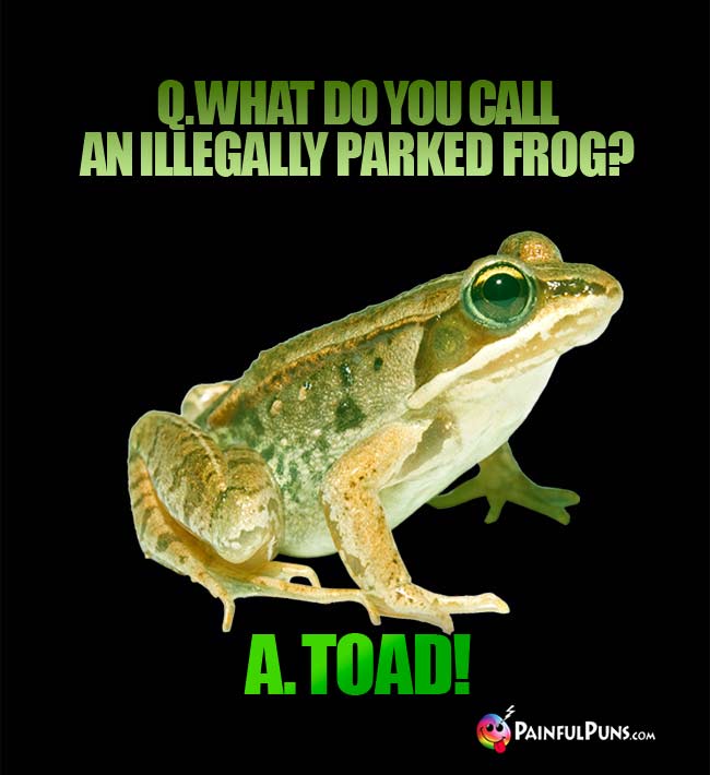 Q. What do you call an illegally parked frog? A. toad!