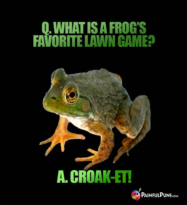 Q. What is a frog's favorite lawn game? A. Croak-et1