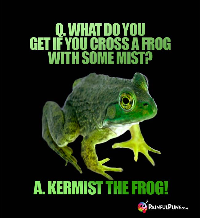 Q. What do you get if you cross a frog with some mist? A. Kermist The Frog!