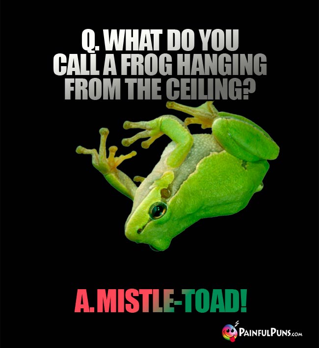 Q. What do you call a frog hanging from the ceiling? A. Mistle-toad!