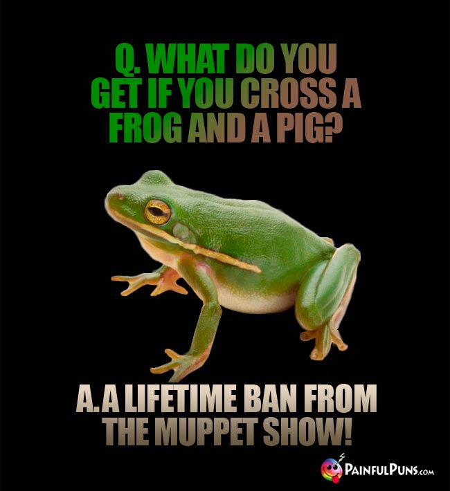 Q. What do you get if you cross a frog and a pig? A. A lifetime ban from the Muppet Show!
