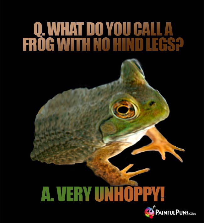 Q. What do you call a frog with no hind legs? A. very unhoppy!