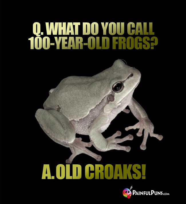 Q. What do you call 100-year-old frogs? a. Old Croaks!